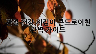 관절 건강 지킴이, 콘드로이친 완벽 가이드