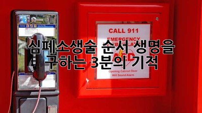심폐소생술 순서: 생명을 구하는 3분의 기적